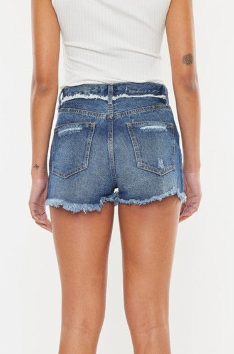 Lynn High Rise Button Fly  Distressed  Denim Shorts