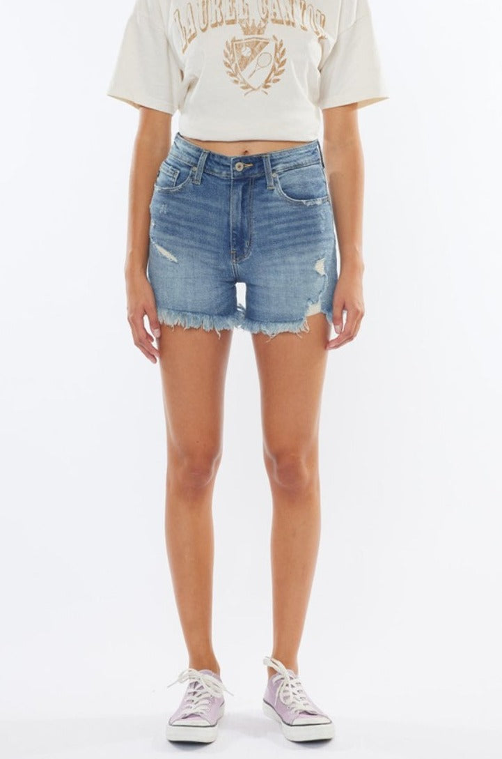 Brady High Rise Frayed Hem Distressed Denim Shorts