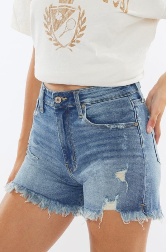 Brady High Rise Frayed Hem Distressed Denim Shorts