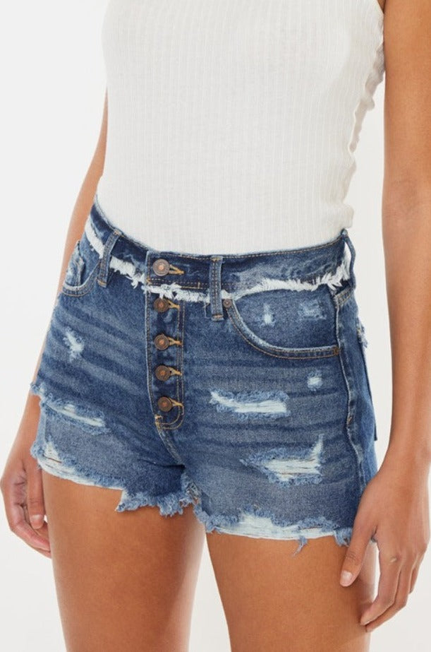 Lynn High Rise Button Fly  Distressed  Denim Shorts